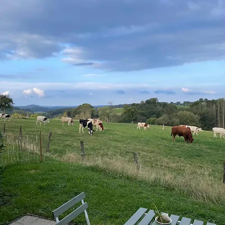 Landliebe 아파트 *