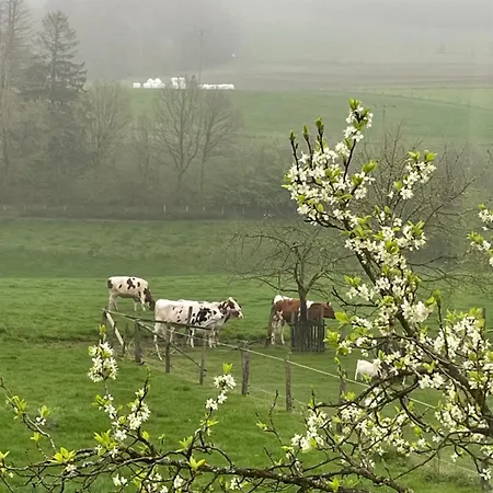 Landliebe * Wiehl