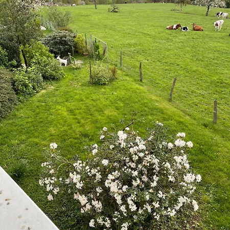 Landliebe Apartament