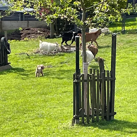 Landliebe Apartament