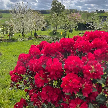 Landliebe Wiehl