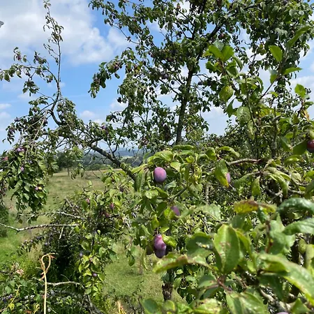 Landliebe * Wiehl