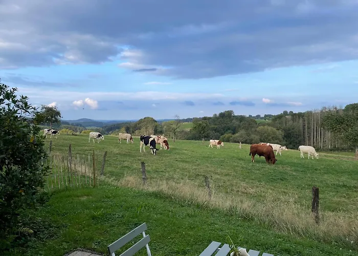 Landliebe 아파트 *