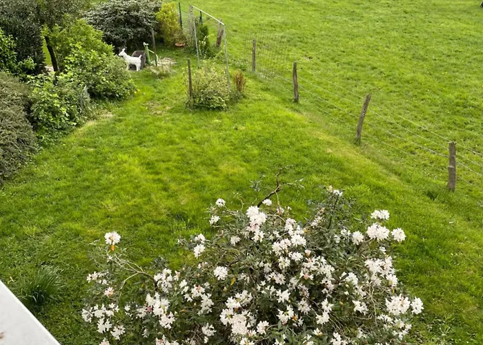 Landliebe Apartament