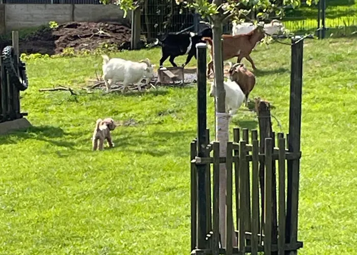 Landliebe Apartament